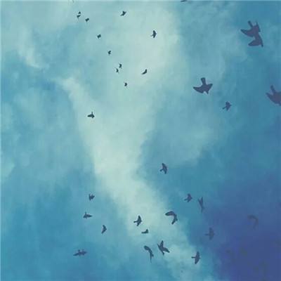 深海寻食游戏(暂未上线)v1.1.0 安卓版