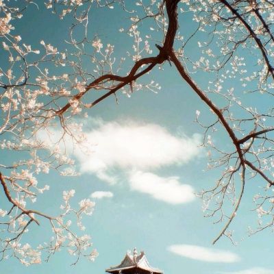 快乐酷宝机战无双游戏下载